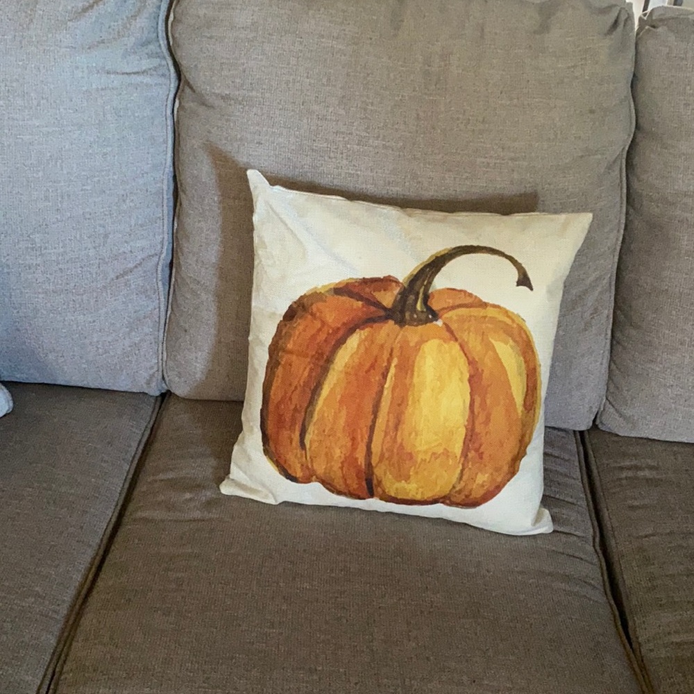 Pumpkin/ Fall decorative pillow cover